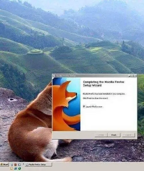 Marmot Installs Firefox