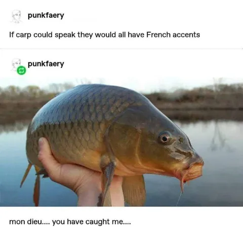 French-Accented Carp