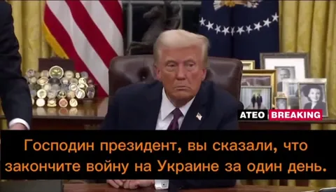 У меня есть ещё полдня
