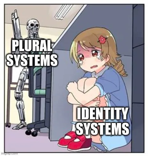 Plural Systems vs Identity Systems