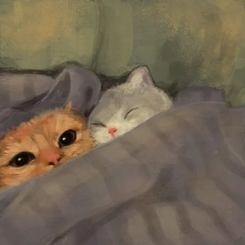 Котята под одеялом