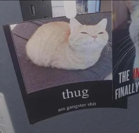 Thug Cat Ass Gangster Shit