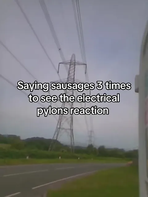 Sausages Make Electrical Pylons React