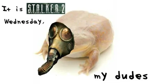 STALKER 2 Wednesday Frog