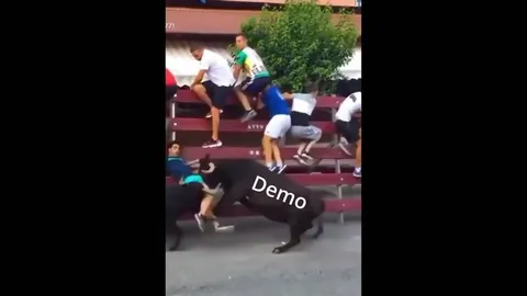 Dev Testing Demo Manager