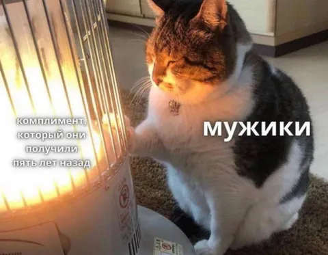 Комплимент пять лет назад