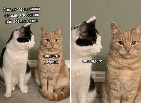 Когда рядом не та Анна