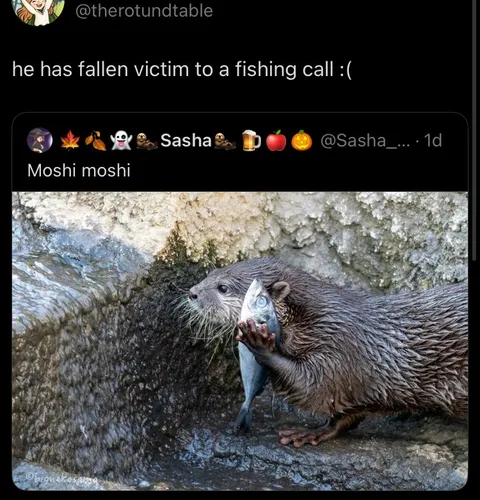 Victim of a Fishing Call