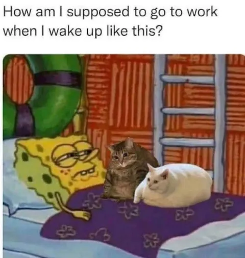 Waking Up Too Tired for Work
