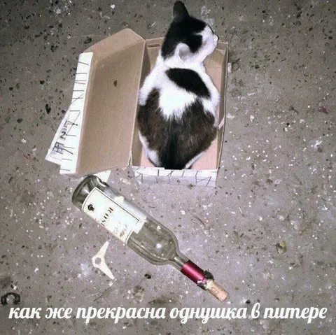Прекрасная однушка в Питере