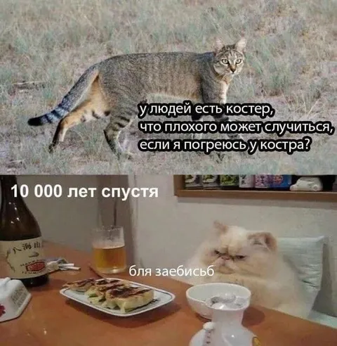 Кот у костра через 10 000 лет