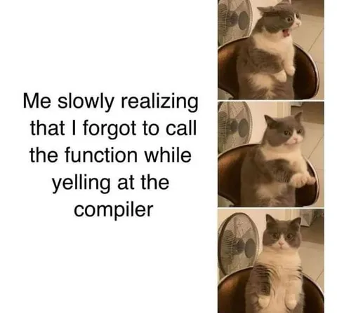 Forgot to Call the Function