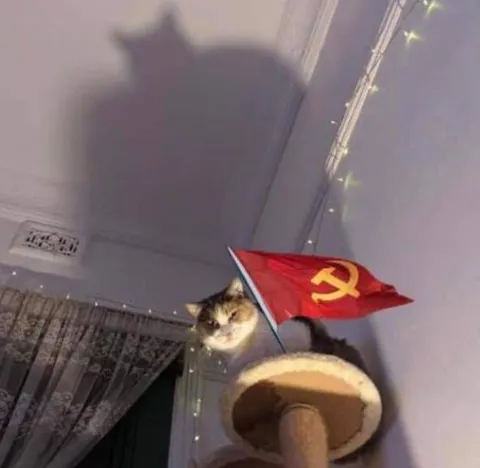 Кот-коммунист на посту
