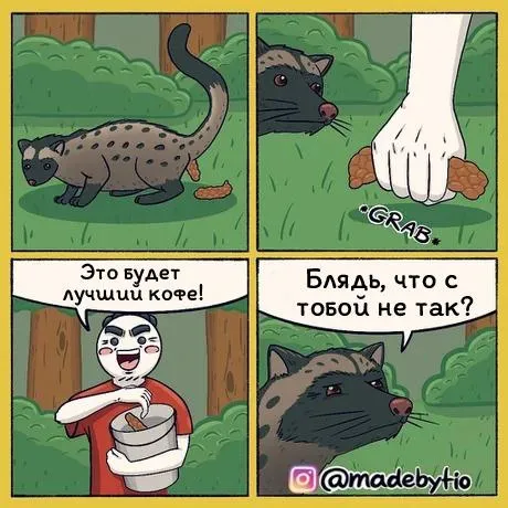 Копи-лувак с запахом макаки