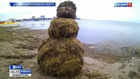 Мохнатый снеговик на берегу