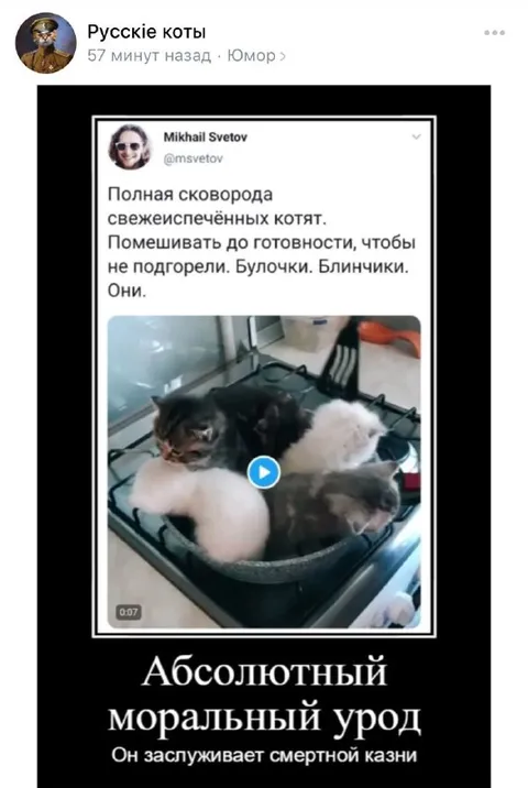 Сковорода со свежеиспечёнными котятами