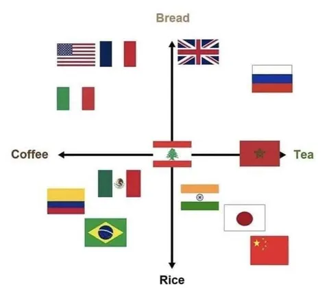 Countries According to Food Preferences