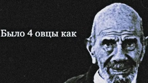 Было 4 овцы как