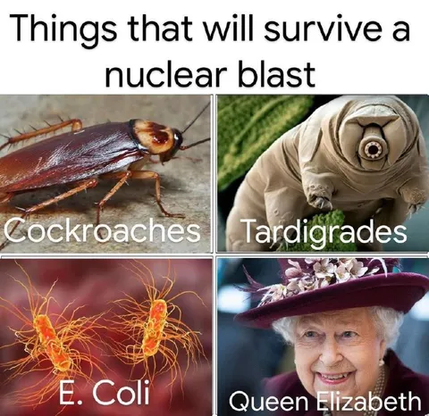 Things That Survive a Nuclear Blast