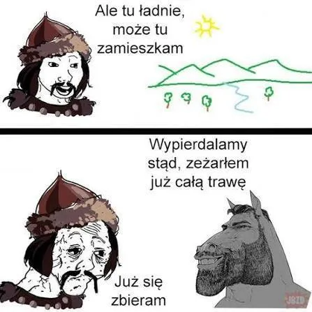 Koń zjadł całą trawę