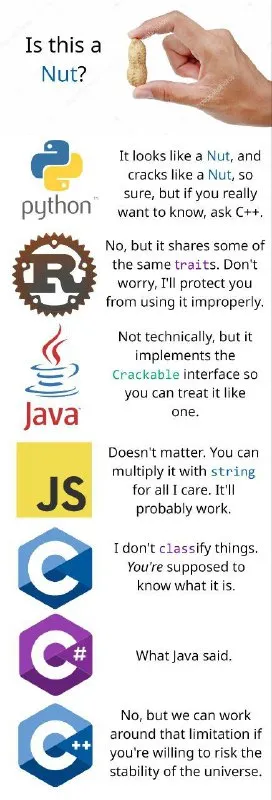 Programming Languages Debate About a Nut