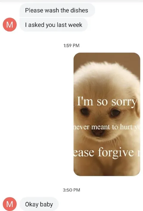 Sorry Puppy After Ignoring Chores