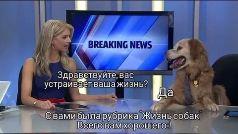Собака отвечает на интервью