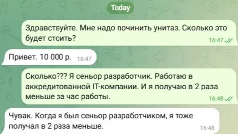 Сеньор-разработчик чинит унитаз