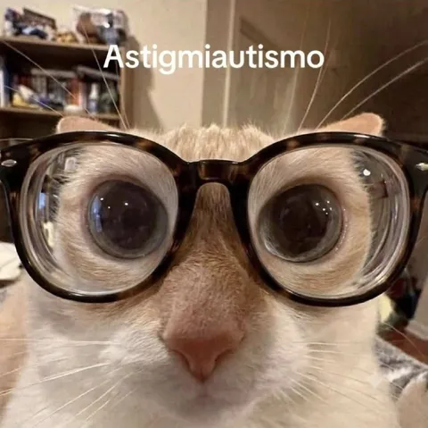 Gato con astigmatismo