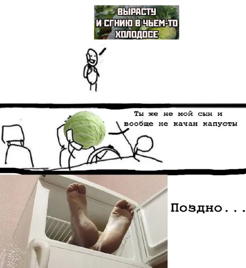 Качан капусты в холодильнике