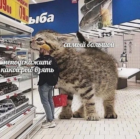 Самый большой рыю