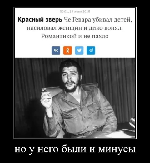 У него были и минусы