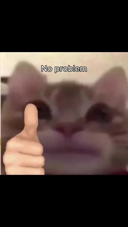 No Medovnik Big Problem