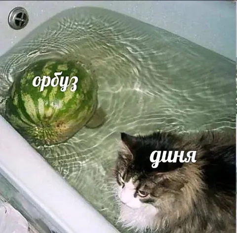 Арбуз и дыня в ванной