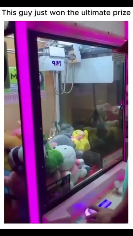 Claw Machine Wins a Cat