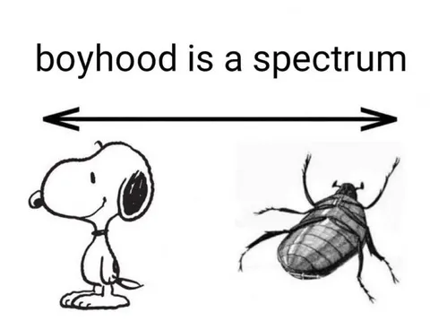Boyhood Is a Spectrum