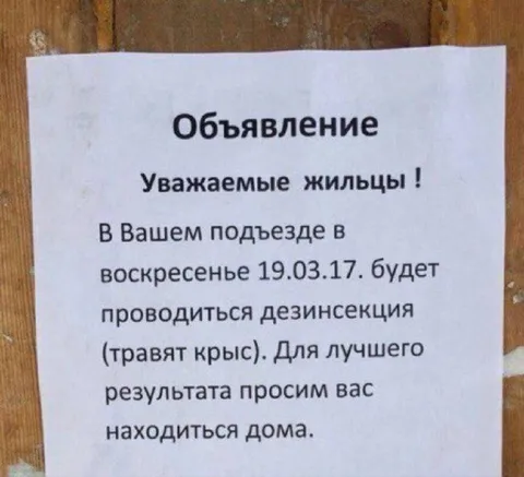 Дезинсекция в подъезде