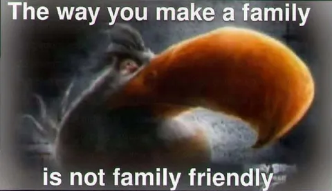 Not Family Friendly Mushroom