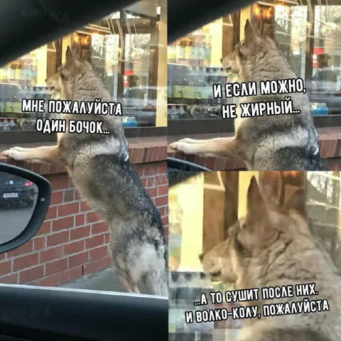 Волко-кола после бочек