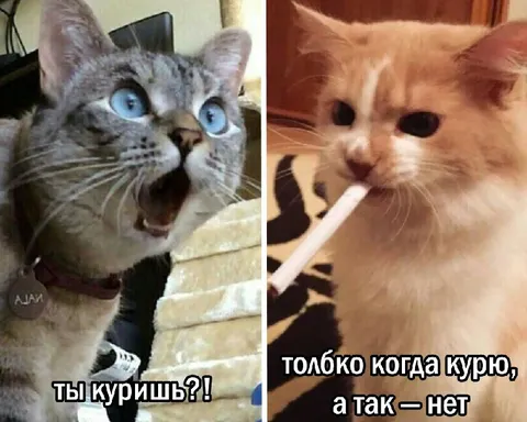 Ты куришь? Только когда курю