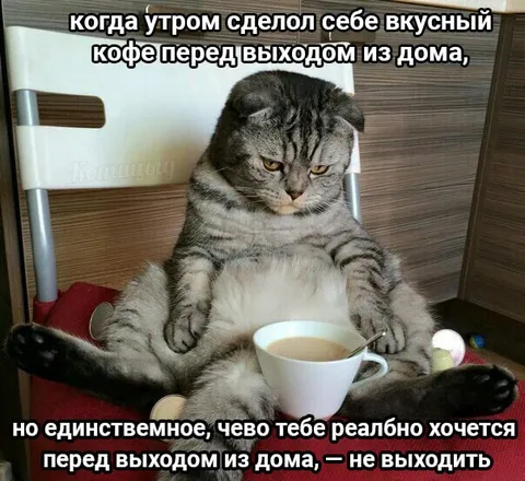 Кофе перед выходом из дома