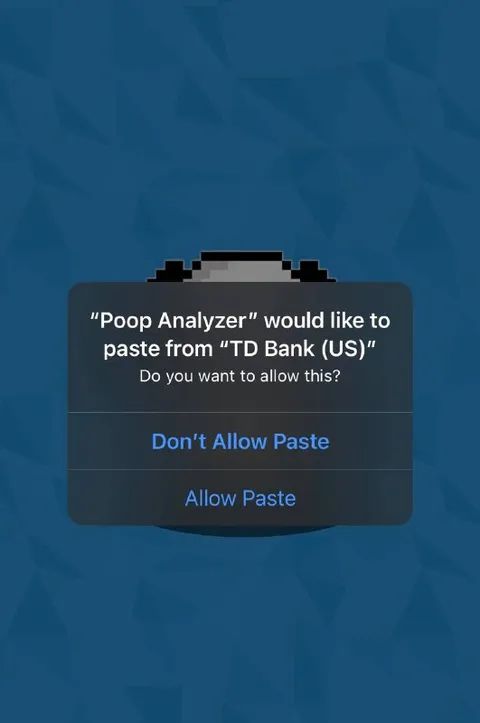 Poop Analyzer Clipboard Permission