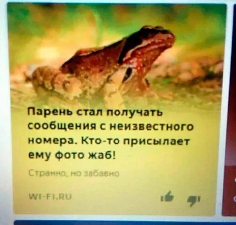 Фото жаб с неизвестного номера