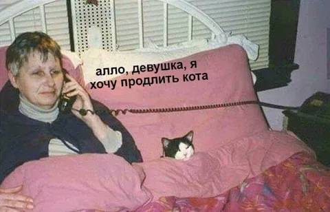 Я хочу продлить кота
