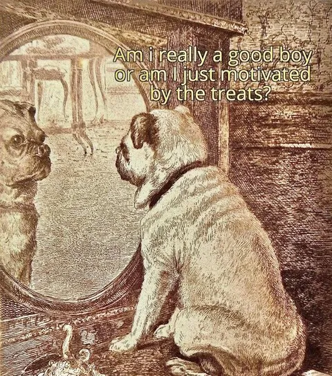 Good Boy or Treat Motivated