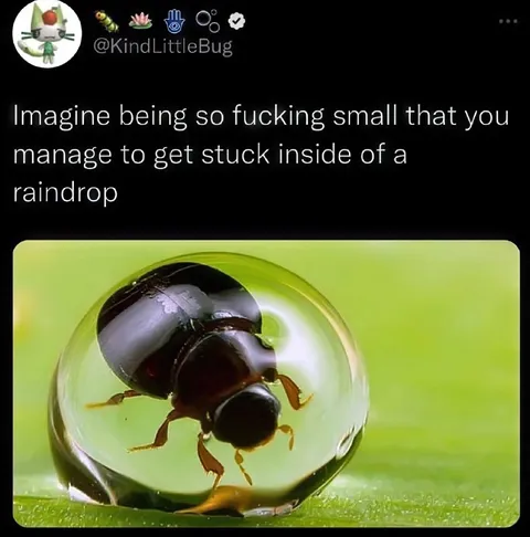 Stuck Inside a Raindrop