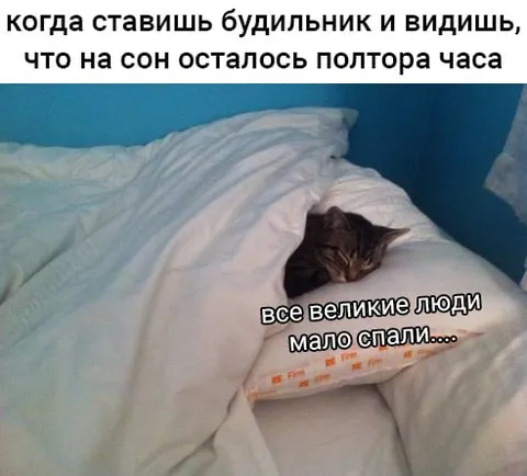 Полтора часа на сон