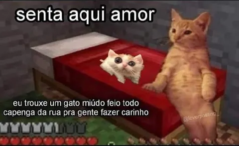 Gato capenga da rua