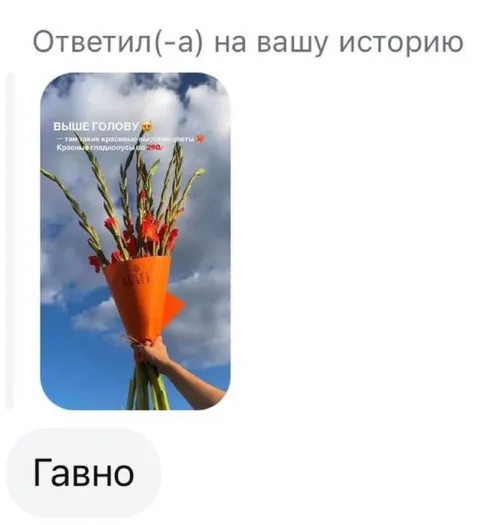 Ответил на историю говном