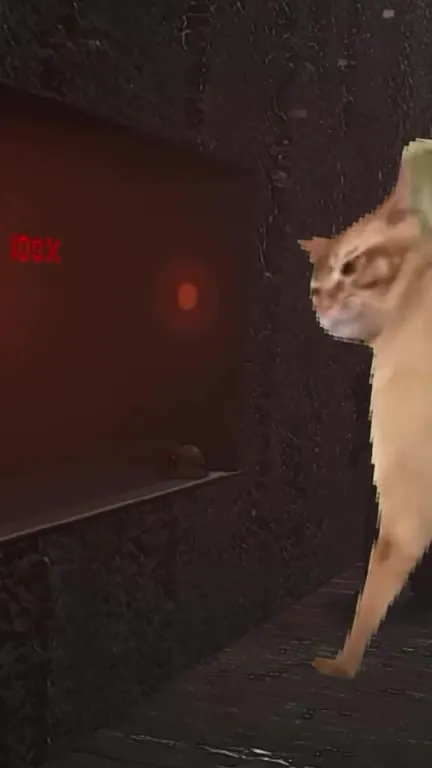 Кот на сто процентов